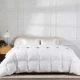 1pc Random Throw Pillow