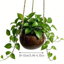 1 chậu treo trồng cây bằng vỏ dừa tự nhiên sáng tạo mới kèm dây treo, chậu hoa treo trang trí nhà cửa - Chậu hoa treo thủ công - Xem 6