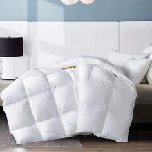Duvets & Down Comforters - One-size Pillow - View 1
