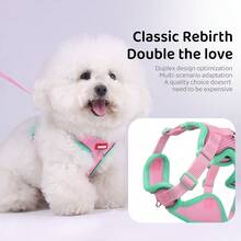 Cat And Dog Universal Vest-Style Pet Harness, Contrast Color Mesh Breathable Reflective Nighttime Adjustable Small Dog And Cat Walking Leash Harness - Multicolor - View 3