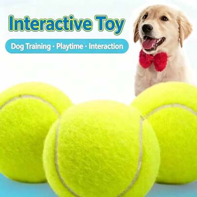 30 piezas de pelotas de juguete para perros, Border Collie, Corgi, Golden Retriever, para jugar con el perro, pasear al perro, suministros de entrenamiento para perros, pelotas de tenis duraderas y masticables para mascotas