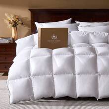 Duvets & Down Comforters - 1pc Random Throw Pillow - View 1