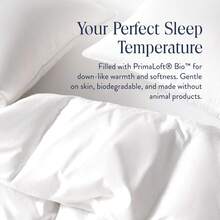 Duvets & Down Comforters - 1pc Random Throw Pillow - View 5