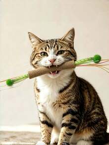 1pc Cat Toy Dental Cleansing Tease Cat Self-Hi Interactive Depressing Ring Paper Toy Sackcloth Toy Sackcloth Toy Stick Cat Toy - Multicolor - View 1
