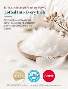 Duvets & Down Comforters - One-size Pillow - View 6