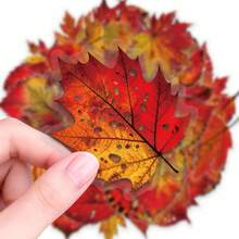 56pcs Autumn Realistic Fallen Leaves Doodle PET Stickers, Self-Adhesive Decorative Labels, Stationery Stickers Suitable For Scrapbooking, Journaling, Notebook Making, Card Making, Gift Wrapping, Planner And Creative Projects - one-size - View 6
