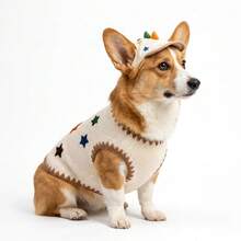 2026 Autumn/Winter New Cute Star Pet Vest & Hat Set For Small Cats & Dogs, Daily Photo Shoot Outfit & Birthday Gift - Multicolor - View 1