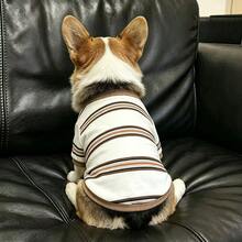 Sweatshirt Anjing Leher Bulat Bergaris Cokelat, Atasan Hewan Peliharaan Lengan Pendek Lembut, Pakaian Anak Anjing Kasual Sehari-hari Cocok Untuk Anjing Kecil dan Sedang, Set Corgi - Putih - View 7