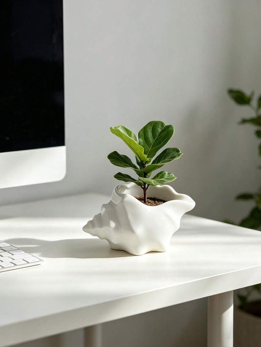 Ocean Style Seashell Small Flower Pot, Multi-Color Options, Indoor Desktop Ficus Lyrata Air Plant Planter, Creative Irregular Shaped Vase, Home Decor Ornament