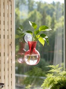 Wall-Mounted Transparent Hydroponic Vase, Suitable For Pothos Plants, Plastic Hanging Rack With Suction Cups, Spherical Vase, Suitable For Office And Home Decor, Home Gardening, Window Plant Propagation Station - Multicolor - View 15