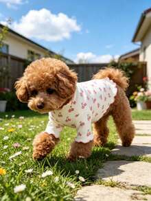 1pc Pet Dog/Cat Clothes, Bow Print Pink Bow Decor Sweater, Breathable Comfortable Anti-Shedding Casual Outfit For Teddy, Poodle, Chihuahua, Spring & Autumn - Multicolor - View 11