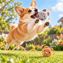 2 piezas Pelotas con sonido de conejo y oso para mascotas, sin batería, adecuadas para todos los tamaños de mascotas, pelotas interactivas de persecución para gatos y perros pequeños, juego en casa y alivio del aburrimiento, regalo para mascotas, regalo de Navidad, regalo de Halloween - Multicolor - Ver 4