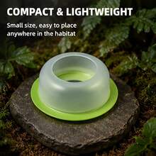 2pcs Pet Escape-Proof Food Bowls, For Bearded Dragons And Lizards, Transparent Feeding Dishes Random Color - Style A - View 2