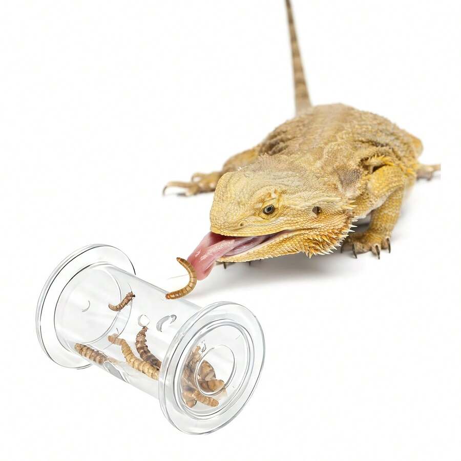 Bearded Dragon Feeding Toy, Lizard Interactive Enrichment Toy Reptile Terrarium Decor, Foraging Accessory For Geckos, Lizards, Bearded Dragons, Chameleons And Other Small Animals