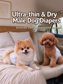 10pcs Dog Diapers, Male Dog Specific, Pet Training Pads, Disposable Cleaning Supplies, Super Absorbent Dry And Comfortable, Adjustable Elastic, Suitable For Preventing Indoor Urine Marking, Post-Surgery Wound Infection Prevention - View 2