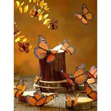 Preserved Flowers - Multicolor - View 3