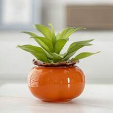 1pc Creative Persimmon Green Pothos Hydroponic Planter, Minimalist Ceramic Water Culture Plant Vase, Indoor Desktop Decor Container Ornament - A - View 4