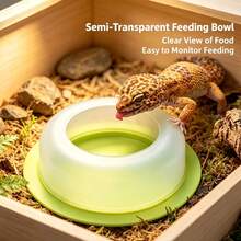 2pcs Pet Escape-Proof Food Bowls, For Bearded Dragons And Lizards, Transparent Feeding Dishes Random Color - Style A - View 3