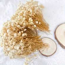 Preserved Flowers - White - View 10