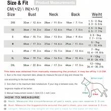 1pc Pet Autumn/Winter Sleeveless Vest, Christmas Style, Dark Green Background With Squirrel Pattern, Side Red Plaid Bow + Small Bell Decoration, White Trim On Collar And Hem, Full Of Atmosphere, Suitable For Small Dogs / Cats. - Dark Green - View 2