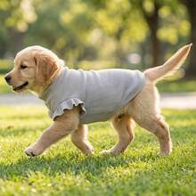 1pc Cute Waffle Ruffle Sleeve Pet T-Shirt, Three Color Round Neck Breathable Dog Clothing - Grey - View 1