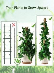Plant Support Moss Pole, Stackable Coconut Fiber | Moss Totem Support Pole High-Rise Plant Growth Pole Indoor Live Plant Moss Fixing Rack - Multicolor - View 6