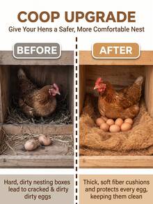 4/6/8pcs Mats, Artificial Grass Pads, Washable And Durable, Indoor/Outdoor Use, Suitable For Chickens And Pets, Fits Most Chicken Coops And Nesting Boxes, Pet Supplies, Gardening - Multicolor - View 9