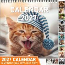 1pc 2027 Funny Cat Expression Calendar, With Humorous Daily Cat Quotes, Cat Lover Time Planning Accessory, Perfect Gift For Halloween, Christmas And Various Holiday Parties - Multiple Styles - View 6