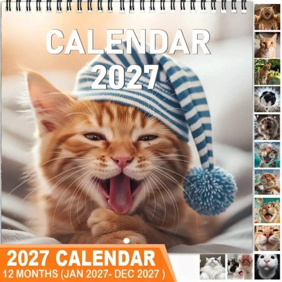 1pc 2027 Funny Cat Expression Calendar, With Humorous Daily Cat Quotes, Cat Lover Time Planning Accessory, Perfect Gift For Halloween, Christmas And Various Holiday Parties - Multiple Styles - View 1