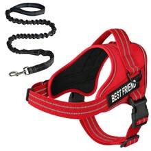 No Pull Dog Harness And Leash Set, Easy On Adjustable Reflective Dog Vest With Padded Handle, Breathable Mesh Pet Harness With Shock Absorbing Bungee Leash For Small Medium Large Dogs, Walking & Training - Multicolor - View 18