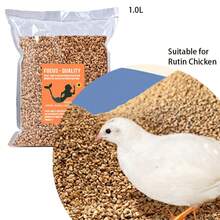 Walnut Sand, Pet Water Tank Sand, Crawling Pet House Sand, Pet House Bedding, Suitable For Various Reptiles, Parrots, Rutin Chickens, And Hamsters To Eliminate Odors - View 3