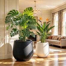 Large Floor Planter, Ceramic-Feel Matte Indoor Plant Pot, Decorative Plant Container, Lightweight And Durable, Home And Office Decor, Black And Beige - Multiple Styles - View 1