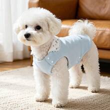 1pc Pink/Yellow/Blue Pet Vest Fashion Casual Warm Turn-Down Collar Pullover, Suitable For Small And Medium-Sized Cats And Dogs - Multicolor - View 6