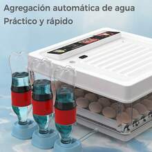 Egg Handling Supplies - US A Type Plug(220-240V) - View 3