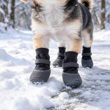 4pcs Pet Warm Paw Shoes - Adjustable Straps, Outdoor Water-Resistant Warmth, Indoor Floor Protection - Multicolor - View 5