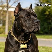 Iron Alloy Pet Collar With Anti-Escape Safety Buckle, Durable Rust-Proof Dog Neck Chain, Medium To Large Dog Outdoor Training Leash Collar - Silver - View 6