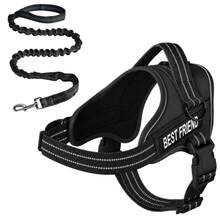 No Pull Dog Harness And Leash Set, Easy On Adjustable Reflective Dog Vest With Padded Handle, Breathable Mesh Pet Harness With Shock Absorbing Bungee Leash For Small Medium Large Dogs, Walking & Training - Multicolor - View 24