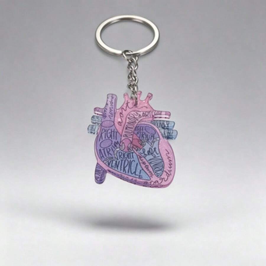 1pc Organ Heart Acrylic Keychain, Pink Purple Light Blue Gradient Translucent Background, Different Heart Chambers Distinguished By Different Colors, Can Be Used As Backpack Charm, Suitable As Commemorative Gift For Friends - Multicolor - View 1