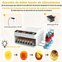 Egg Handling Supplies - US A Type Plug(220-240V) - View 3