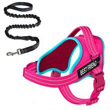 No Pull Dog Harness And Leash Set, Easy On Adjustable Reflective Dog Vest With Padded Handle, Breathable Mesh Pet Harness With Shock Absorbing Bungee Leash For Small Medium Large Dogs, Walking & Training - Multicolor - View 13