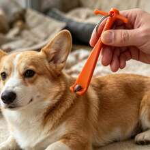 2pcs Pet Tick Remover - Portable Keychain Tick Removal Hook, Painless Tick Removal Tool For Cats And Dogs, Includes Random Inspirational Postcard, Outdoor Pet Emergency Supplies - Multicolor - View 6
