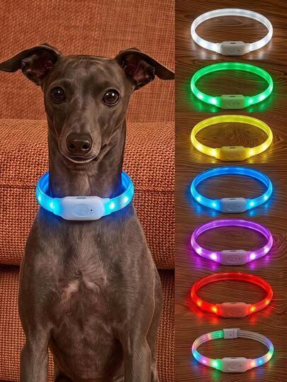 PETSIN 1pc Rechargeable Luminous Pet Collar, 4 Lighting Modes: Steady, Fast Flashing, Slow Flashing, Flowing, Suitable For Pets' Night Activity, Can Be Cut To Fit