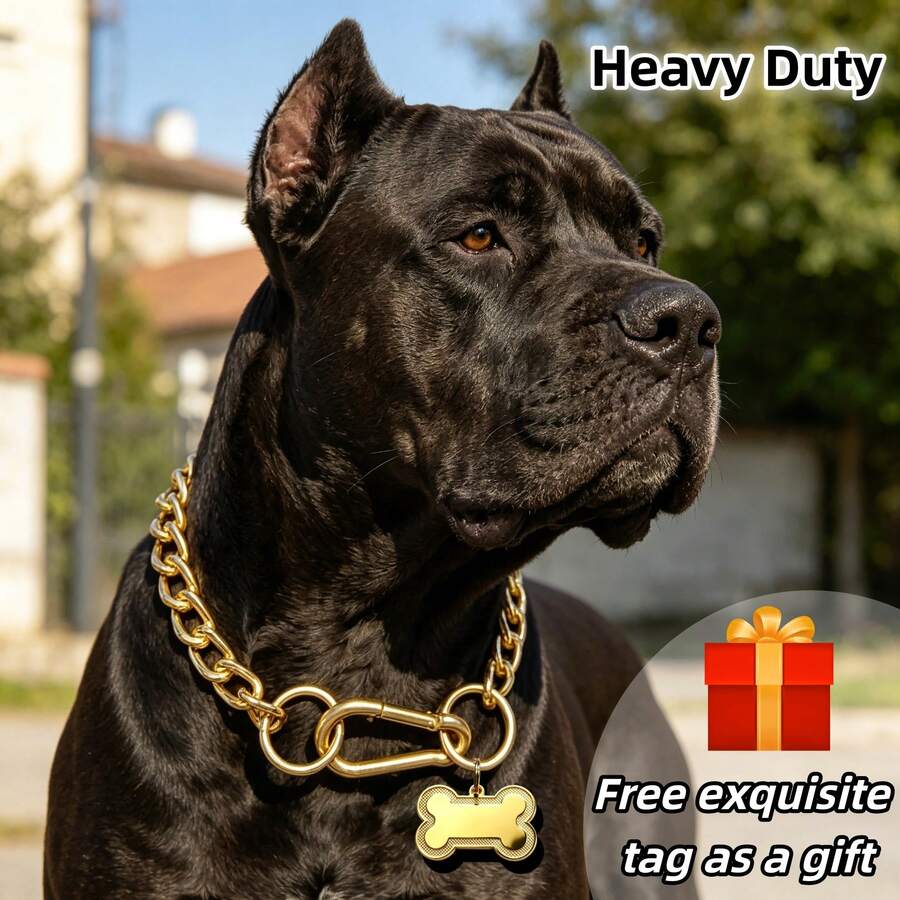Iron Alloy Pet Collar With Anti-Escape Safety Buckle, Durable Rust-Proof Dog Neck Chain, Medium To Large Dog Outdoor Training Leash Collar - Silver - View 1