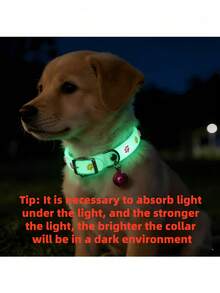 Random Color Pet Glow Collar, Cute Night Glow Pet Collar, Glow-In-The-Dark Pet Collar - Glow Collar With Paw Print, Night Safety Anti-Loss Collar, Suitable For Small Dogs And Cats, Multiple Colors - Multicolor - View 3