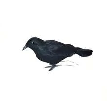 1pc Realistic Crow Outdoor Table Decor, Feather Artificial Crow, Black Artificial Bird, Black Crow Indoor Decoration, Halloween Crow Ornament - Multicolor - View 7