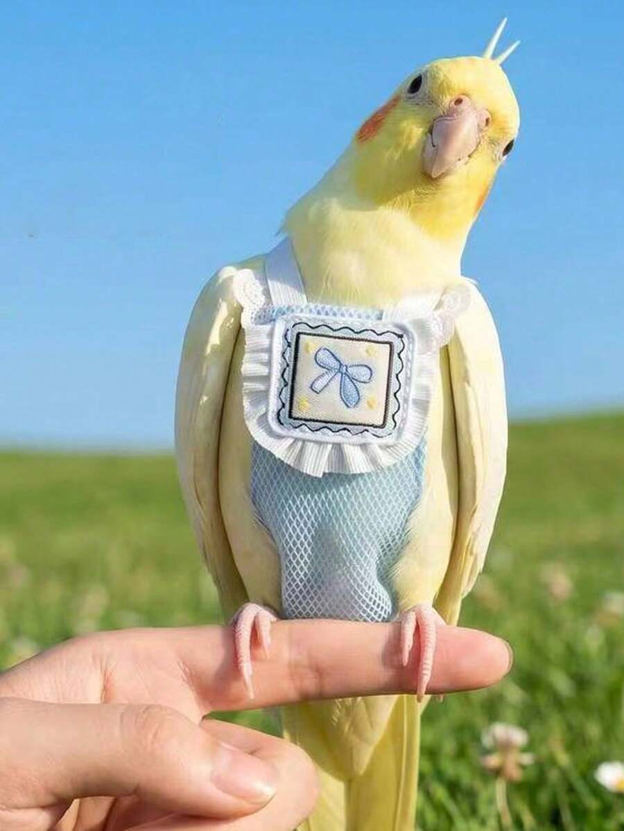 Cockatiel Breathable Mesh Poop Catcher, Breathable Mesh Parrot Clothing ...