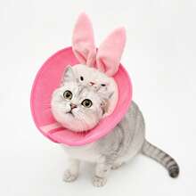 Rabbit Shaped Cat Elizabeth Collar, Soft Mesh Breathable Anti-Licking Anti-Biting Collar, Post-Surgery Sterilization Pet Shame Collar, Cat Collar - Multicolor - View 1