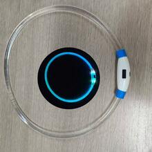 發光狗項圈 單色/雙色 LED 狗項圈 USB 充電式 LED 貓項圈 可調節尺寸狗項圈燈 - 彩色 - 查看 19