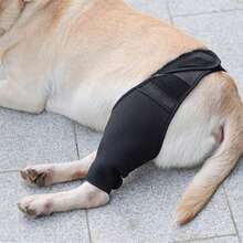 1pc Dog Hip & Leg Recovery Brace, Post Surgery Joint Injury Stabilizer Wrap, Rear Leg Knee Protector Suit To Stop Pets Licking Wounds - Multicolor - View 7