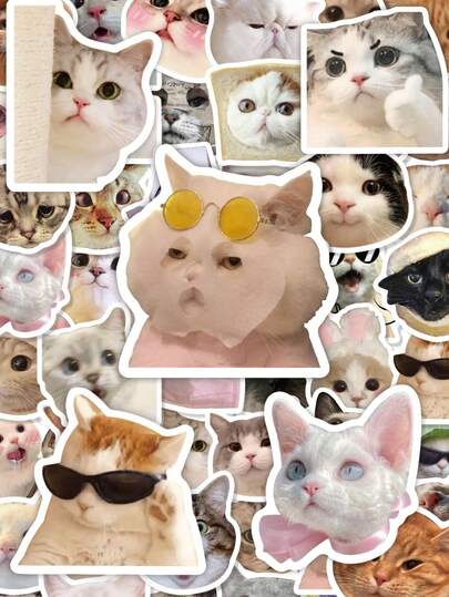 50Pcs Cute Cat Meme Stickers, Internet‑Meme‑Style Varied Kitten Expressions With Funny Viral Cat Graphic Bow Galaxy Text Decals, Waterproof Vinyl Stickers For Water Bottle, Laptop, Luggage, Journal, Scrapbooking, Case DIY Decor